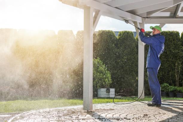 Best Rust Removal  in Ventress, LA